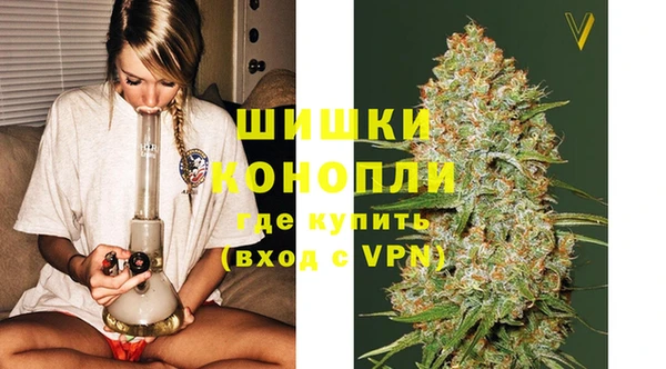 дурь Заводоуковск
