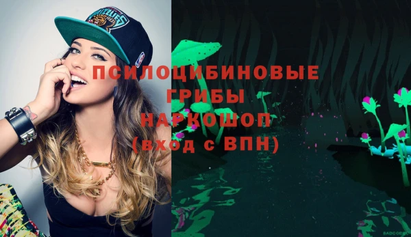 дурь Заводоуковск