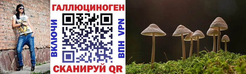 Галлюциногенные грибы прущие грибы  Купить закладки  Канаш 