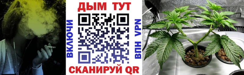 Марихуана Bruce Banner  Купить  Канаш 